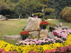 -菊花台公园