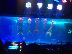 -泉城欧乐堡海洋极地世界