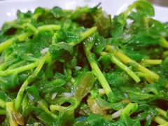 田七菜-叶姐海鲜(棋子湾店)