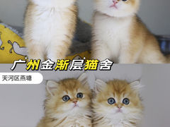 -lincat·猫舍(广州店)