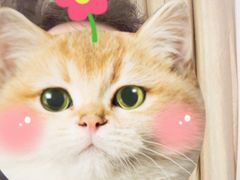 -於氏虾神(盱眙总店)