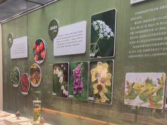 -天津自然博物馆