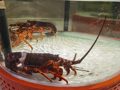 -万龙洲海鲜(大兴绿地缤纷城店)