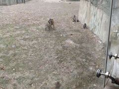 -无锡动物园·太湖欢乐园