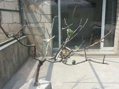 android_upload_pic-北京市海淀外国语实验学校