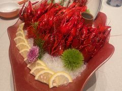 -杨氏青龙虾·羊蝎子(珠江路店)