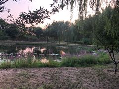 -东郊湿地公园