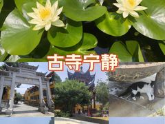 -宝通禅寺