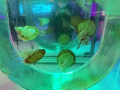 -常州海昌海洋探索馆