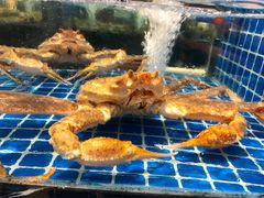 -四季轩中餐厅·萧山味道·运河家宴(三立开元名都店)