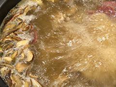 -易门野生菌府·菌海森林(月牙潭公园店)