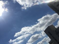 -新湖明珠城