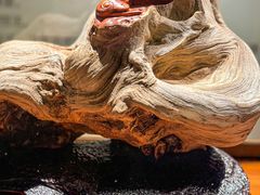 -成都杜甫草堂博物馆
