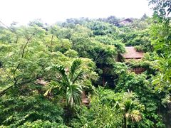 -海南槟榔谷黎苗文化旅游区