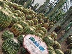 -南山植物园
