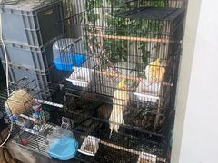 -丽江庭院之爱在路上(西单店)