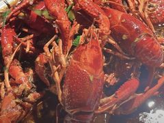 -辣皇朝小龙虾(六一店)