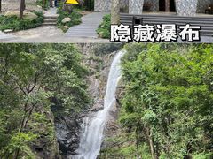 -姑婆山旅游区