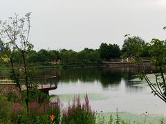 -东郊湿地公园