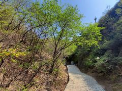 -古崖居风景名胜区