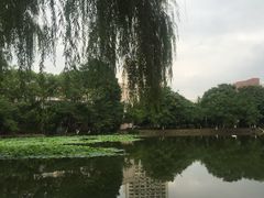 -西南交通大学(九里校区)