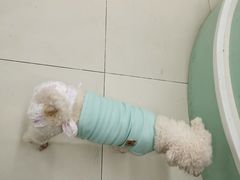 -怪兽屋·羊驼·猫咖·狗咖(俊华广场店)