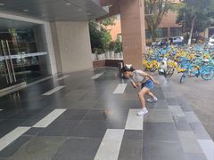 -西南交通大学(九里校区)