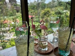 -新加坡飞禽公园