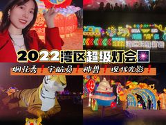 -欢乐海岸椰林沙滩-2025湾区超级灯会