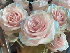 -L.C FLORA花予你(城西银泰城店)