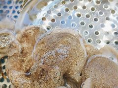 -77号渔船·蒸海鲜青岛菜(积米崖店)