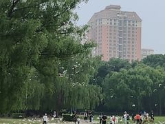 -银树楼(紫玉山庄东区店)