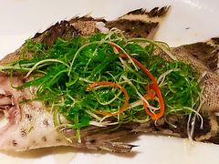 清蒸老虎斑-伯衡55·吉品轩(乌鲁木齐南路店)