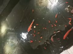 -瓦舍茶馆(聚源路店)