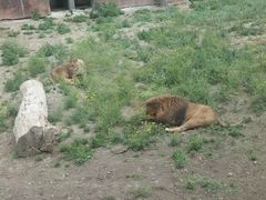 -新疆天山野生动物园