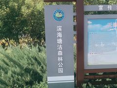 -塘沽森林公园