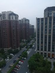 -椿树下·Tattoo纹身工作室