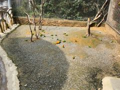 -杭州野生动物世界
