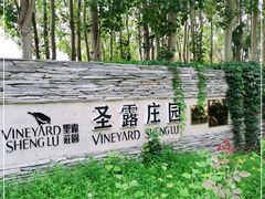 -安德鲁户外烧烤帐篷营地(马泉营店)