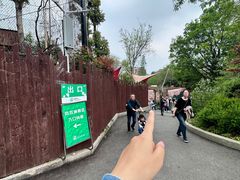 -ZOO COFFEE动物园咖啡(红山森林动物园店)