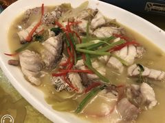 石斑鱼-潮人姐妹轩(海宁路店)