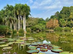 -中国科学院西双版纳热带植物园