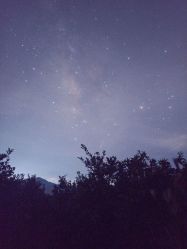 -维秘形体医美 M·VVON医生集团