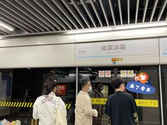 -陆家浜路(地铁站)