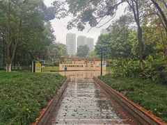 -重庆彩云湖湿地公园