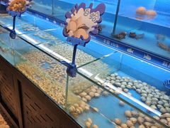 -太湖饭店玉兰厅(自助餐厅)