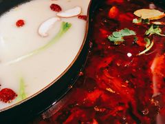 红汤梭边鱼锅-新辣道鱼火锅(西直门店)
