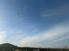 -君乐宝优致牧场