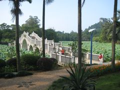 -雀儿山公园
