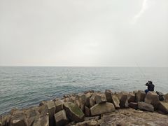 -八大关景区